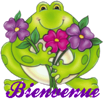 Gif animé bienvenue grenouille